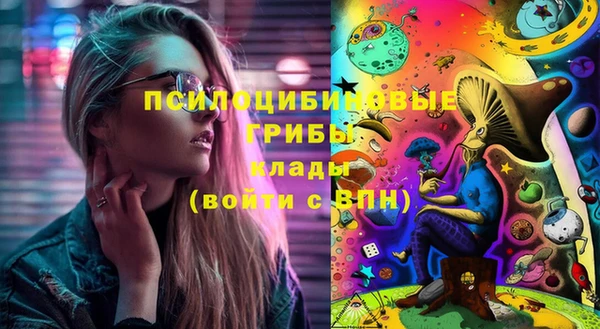 хмурый Лагань