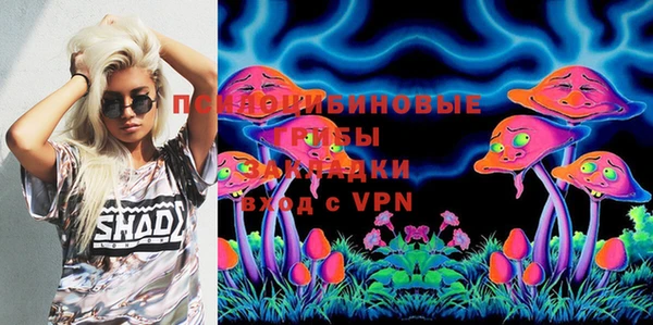 шишки Лабытнанги