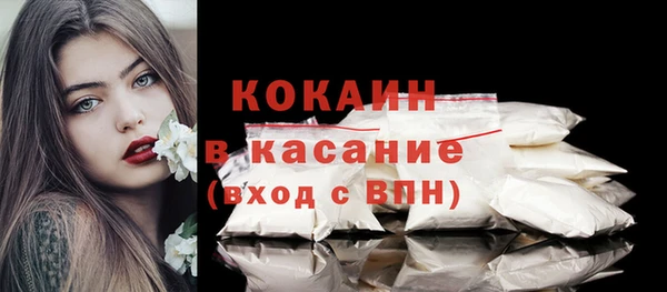 стафф Ладушкин