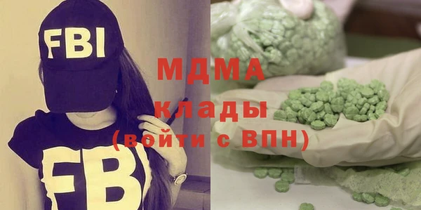 шишки Лабытнанги