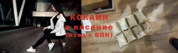 шишки Лабытнанги