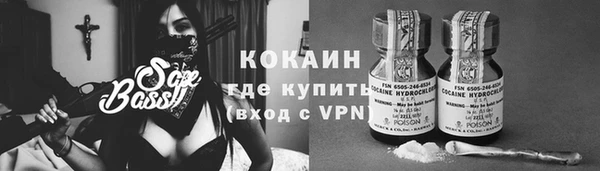 стафф Ладушкин