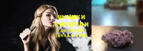 шишки Лабытнанги