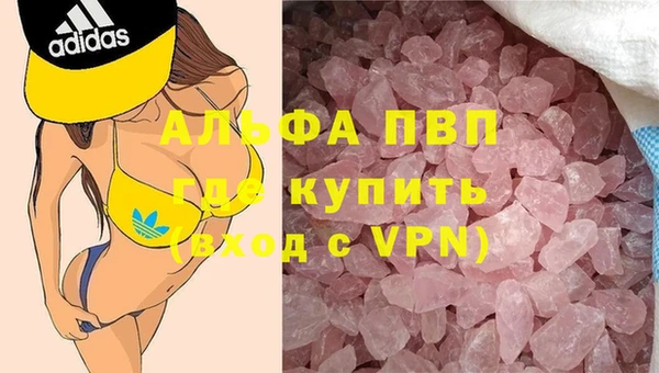 шишки Лабытнанги