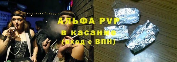 шишки Лабытнанги