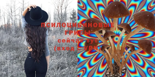 хмурый Лагань