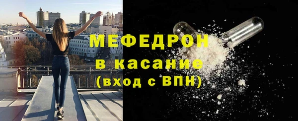 шишки Лабытнанги