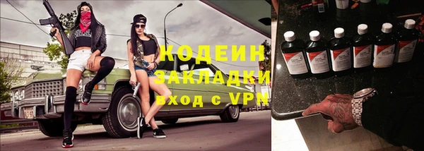 хмурый Лагань