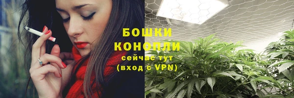 хмурый Лагань