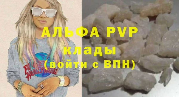 шишки Лабытнанги