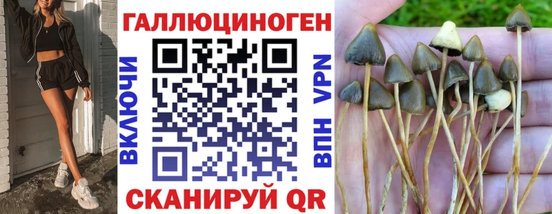 Галлюциногенные грибы GOLDEN TEACHER  даркнет сайт  Юрга 