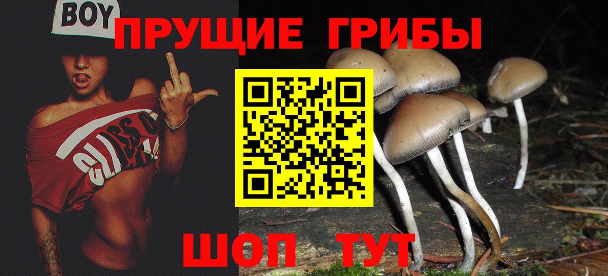 Псилоцибиновые грибы Magic Shrooms  Вход с VPN  Юрга 